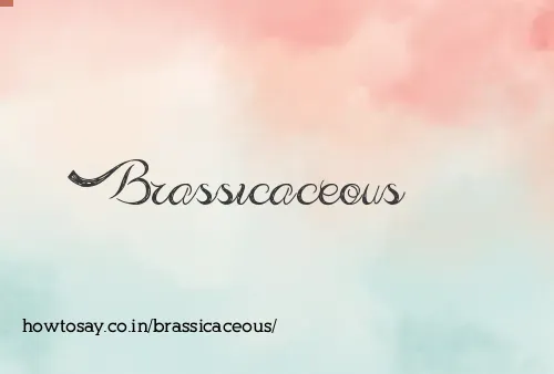 Brassicaceous
