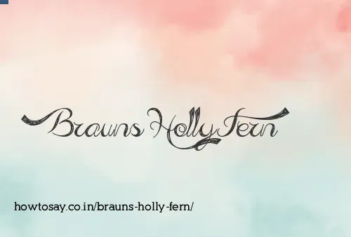 Brauns Holly Fern