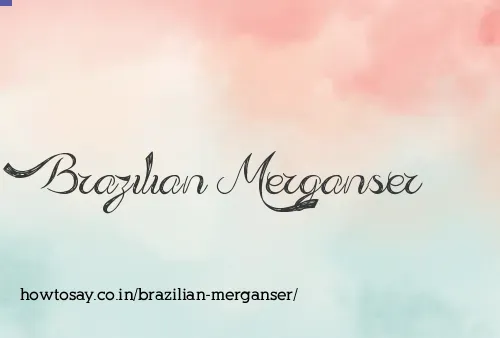 Brazilian Merganser