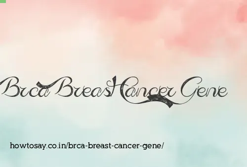 Brca Breast Cancer Gene