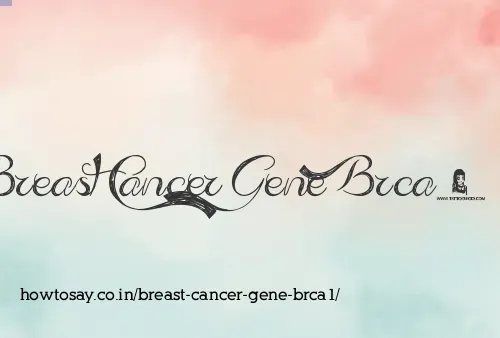 Breast Cancer Gene Brca1