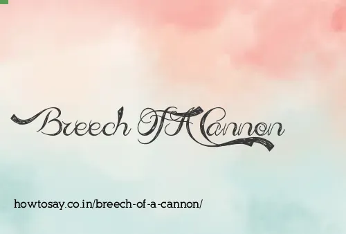 Breech Of A Cannon