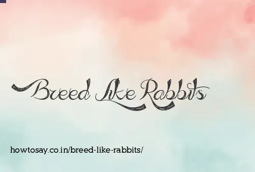 Breed Like Rabbits