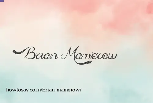 Brian Mamerow