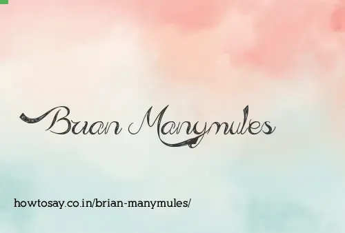 Brian Manymules