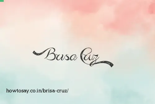 Brisa Cruz