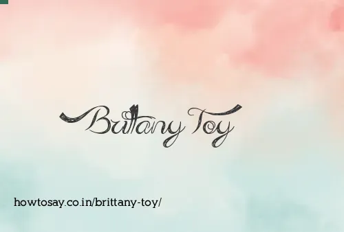 Brittany Toy