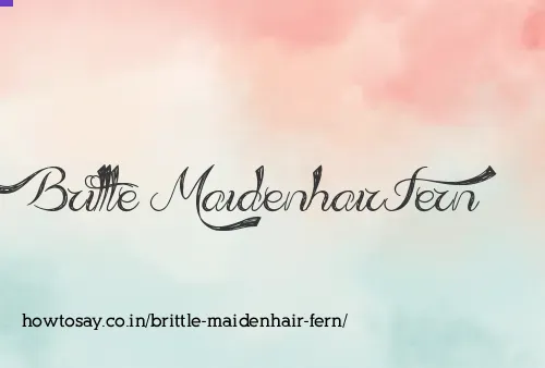 Brittle Maidenhair Fern