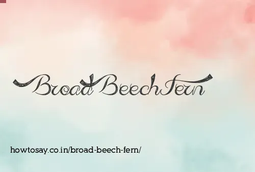 Broad Beech Fern