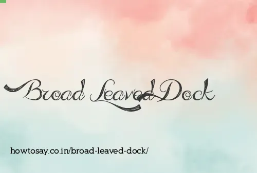 Broad Leaved Dock