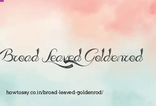 Broad Leaved Goldenrod