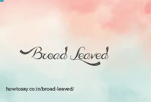 Broad Leaved