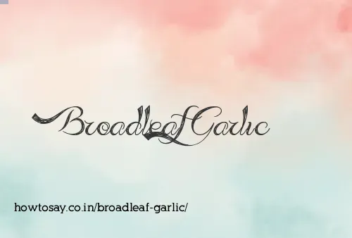 Broadleaf Garlic