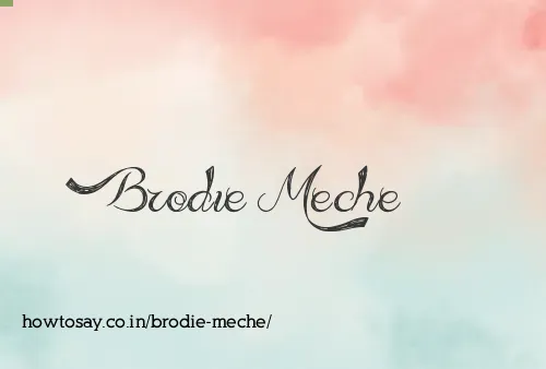 Brodie Meche