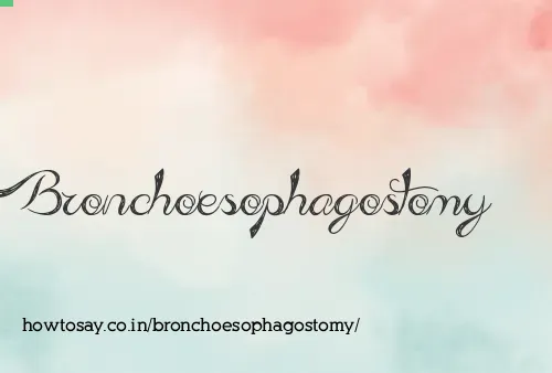 Bronchoesophagostomy