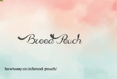 Brood Pouch