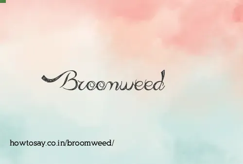 Broomweed
