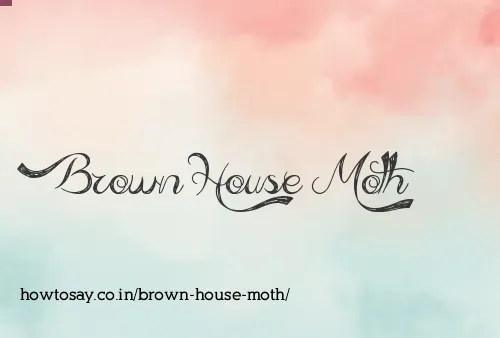 Brown House Moth
