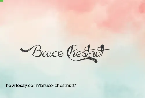 Bruce Chestnutt