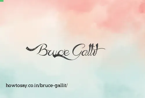 Bruce Gallit