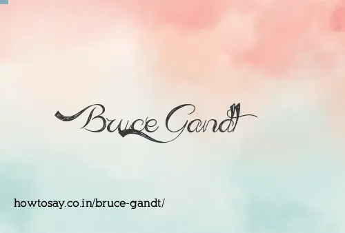 Bruce Gandt