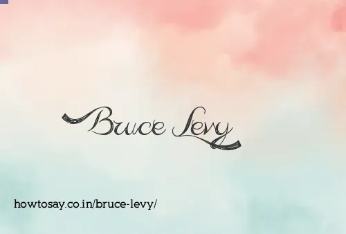 Bruce Levy