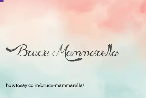Bruce Mammarella