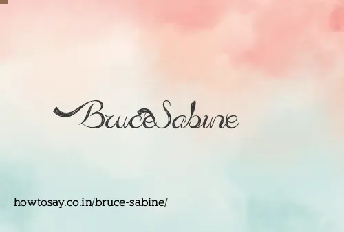Bruce Sabine
