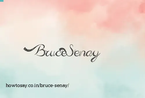 Bruce Senay