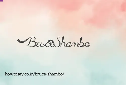Bruce Shambo