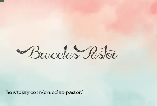Brucelas Pastor