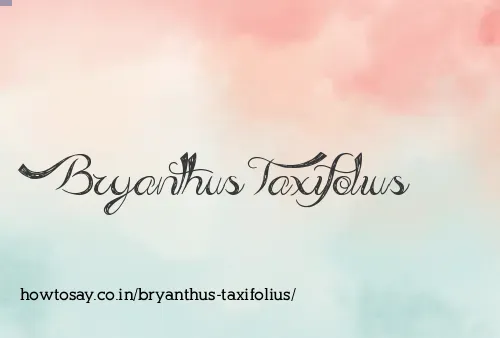 Bryanthus Taxifolius