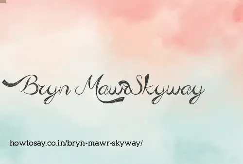 Bryn Mawr Skyway