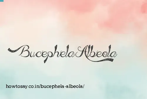 Bucephela Albeola
