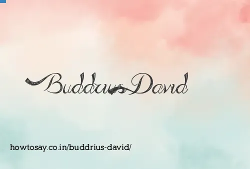 Buddrius David