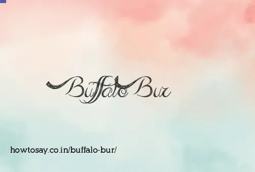 Buffalo Bur
