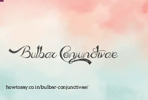Bulbar Conjunctivae
