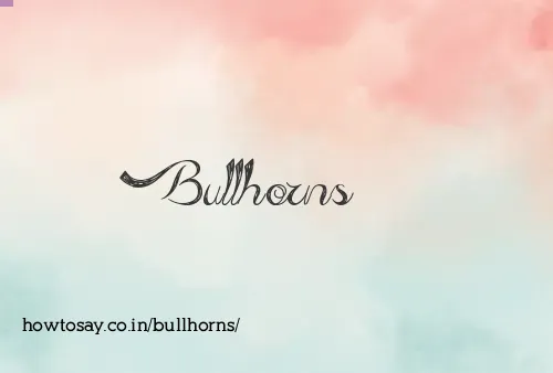 Bullhorns