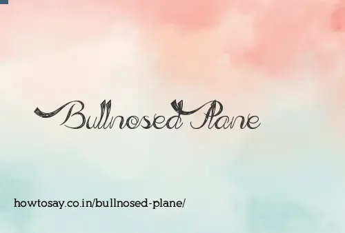 Bullnosed Plane