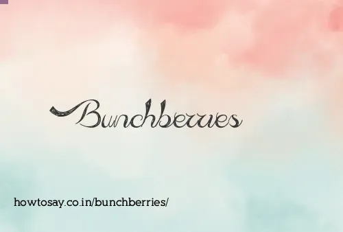 Bunchberries