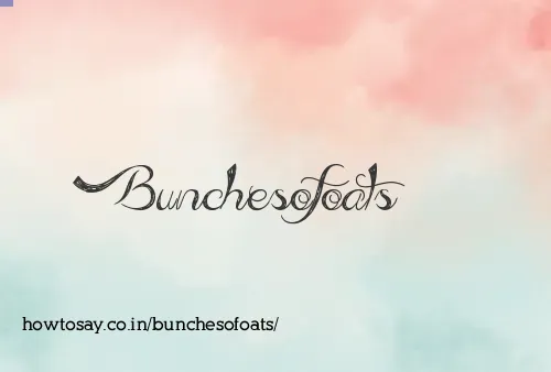 Bunchesofoats