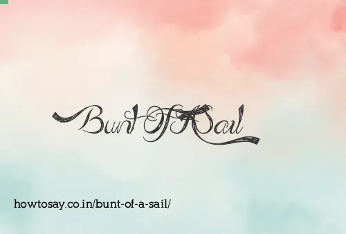 Bunt Of A Sail