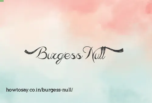Burgess Null