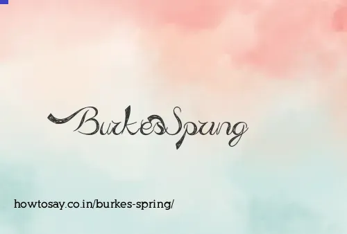 Burkes Spring