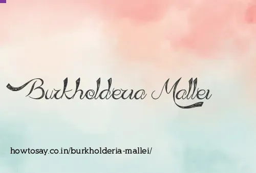Burkholderia Mallei