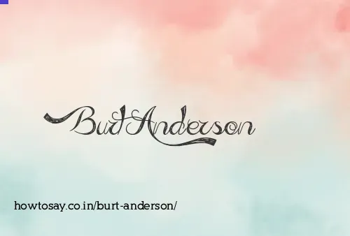 Burt Anderson