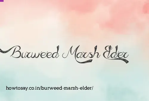 Burweed Marsh Elder