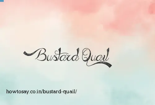 Bustard Quail