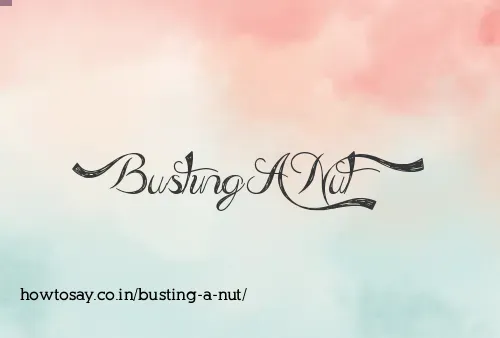 Busting A Nut