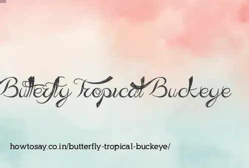 Butterfly Tropical Buckeye